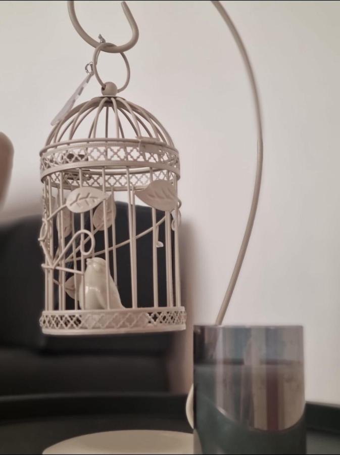 Stella Apartment Sibenik Charm&History United エクステリア 写真