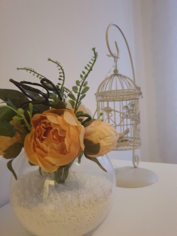 Stella Apartment Sibenik Charm&History United エクステリア 写真